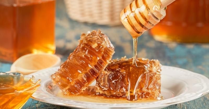 ¿La miel es vegana? Es una situación pegajosa (2022)
