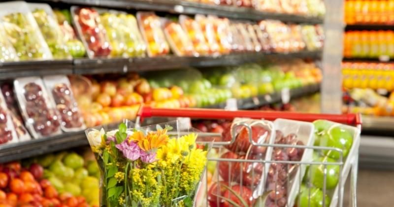 4 mejores tiendas de comestibles veganas para visitar en 2022