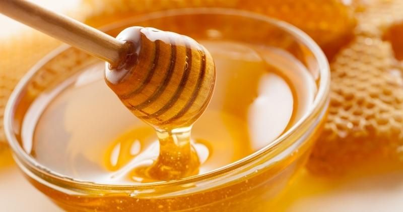 ¿Son veganos de Honey Nut Cheerios? El gran debate del desayuno (2022)