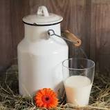 ¿Qué es ácido láctico es leche?