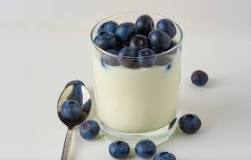 como hacer yogur vegano con probioticos