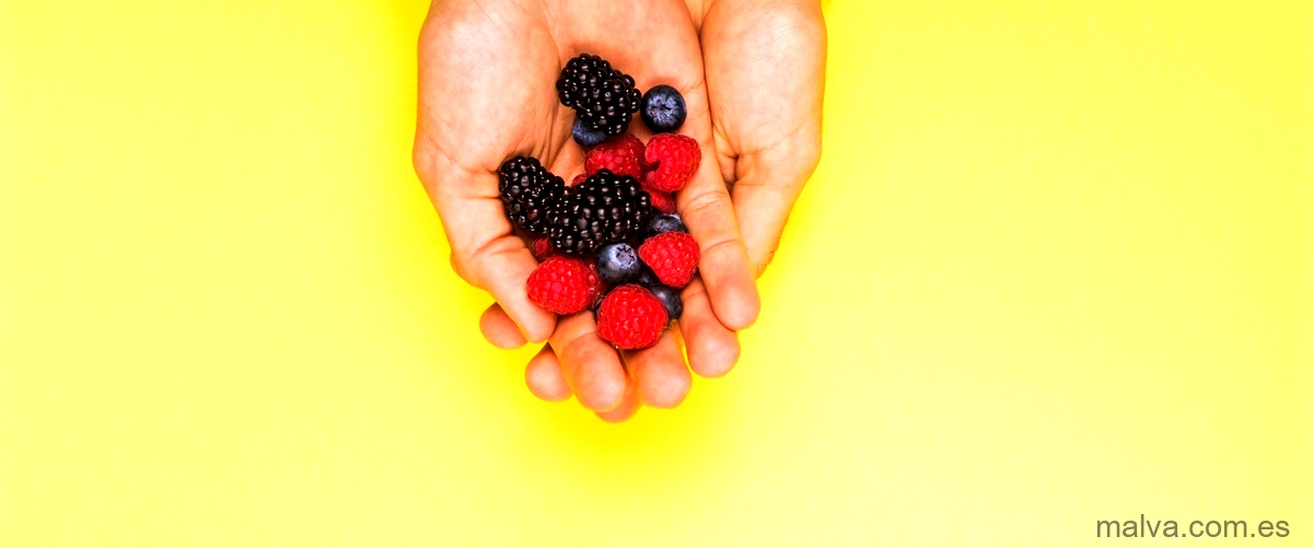 Aprovecha los beneficios de los frutos rojos Lidl: una opción nutritiva y sabrosa