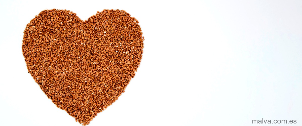 ¿Cuántas semillas de sésamo se deben consumir por día?
