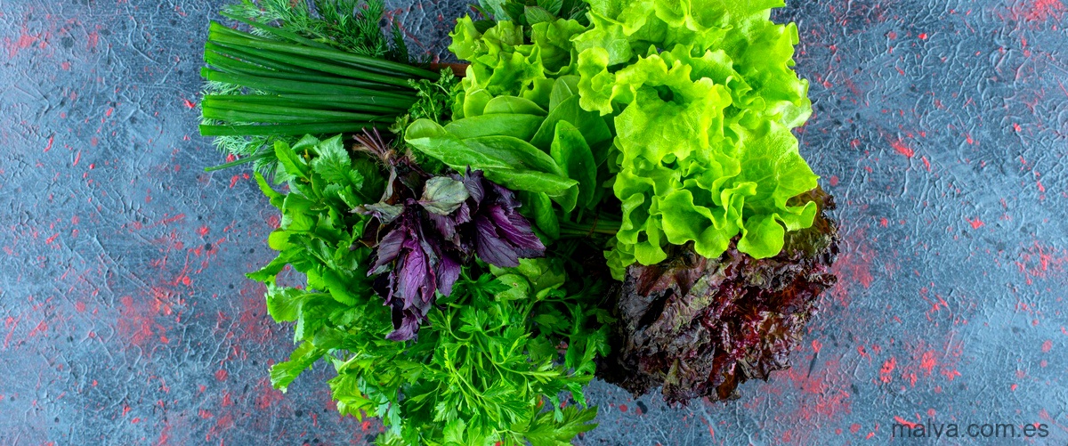 Innovación culinaria: Flax and Kale La Sirena te sorprenderá