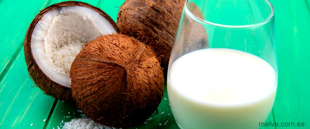 Opiniones de los consumidores sobre la leche de coco Alpro
