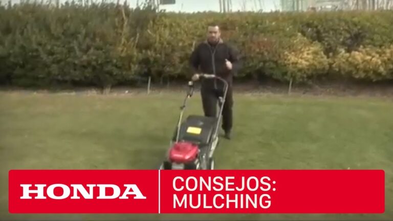 El mulching: una gu&iacute;a completa
