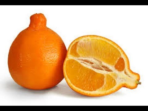 Tratamiento ecológico para el control de Alternaria