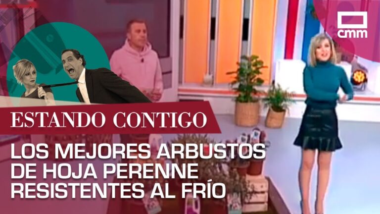 Arbustos de hoja perenne resistentes al frío: Guía de plantas duraderas para tu jardín