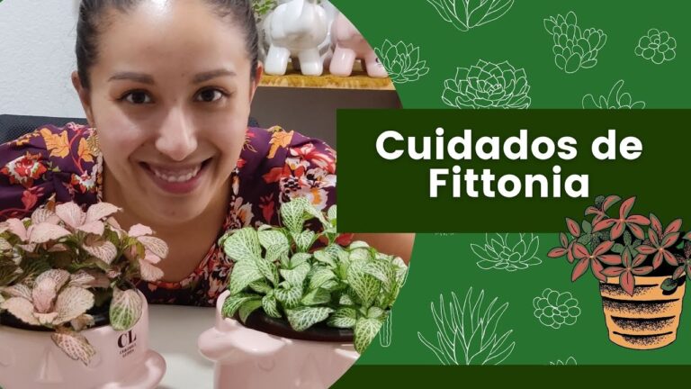 Guía completa para cuidar tu planta con pasión: consejos de cuidados