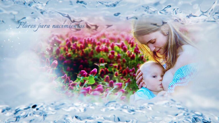 Flores Preservadas a Domicilio en Madrid: Belleza Duradera al Alcance de Tu Mano