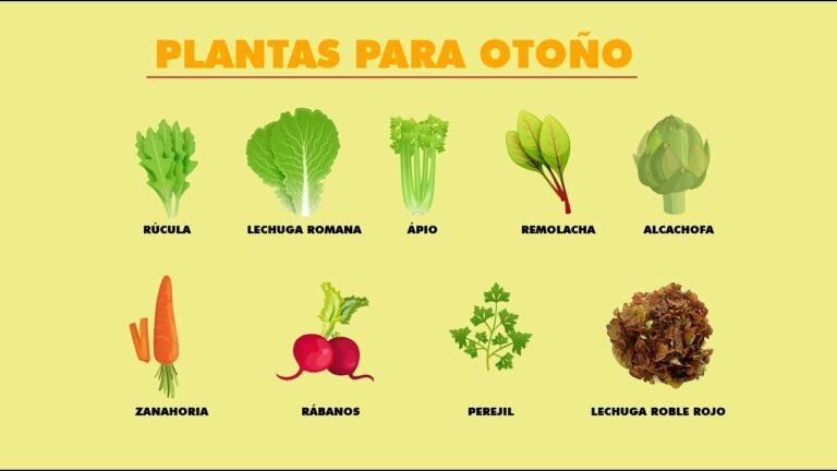 10 Plantas ideales para cultivar en macetas durante el otoño