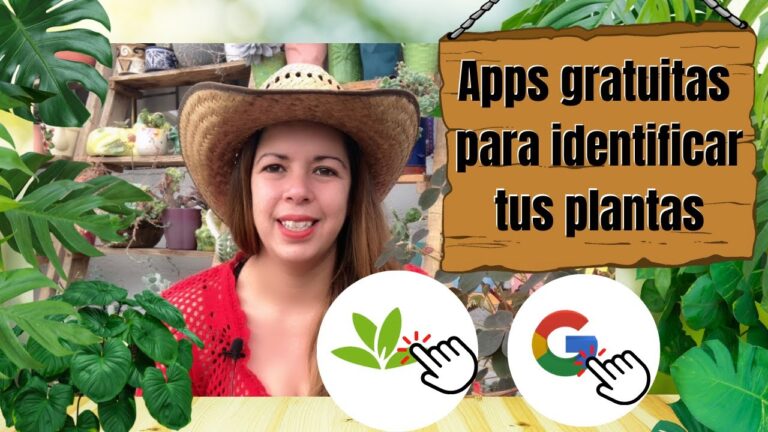 Identificar enfermedades de plantas de forma gratuita