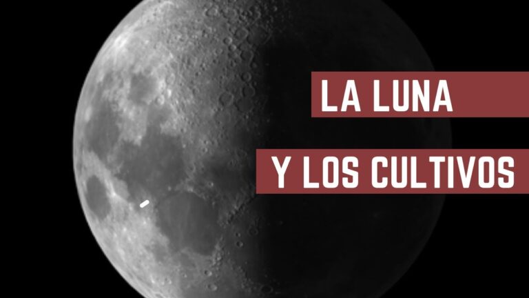 Cu&aacute;ndo es la Luna Creciente
