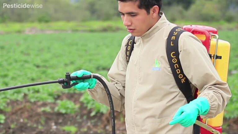 Insecticida Kopy: La solución eficaz para el control de plagas
