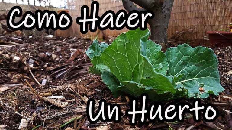 Guía Práctica para Crear un Huerto en el Campo Paso a Paso