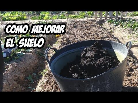Guía para abonar tu huerto urbano