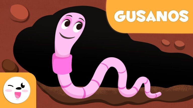 Características esenciales de los gusanos