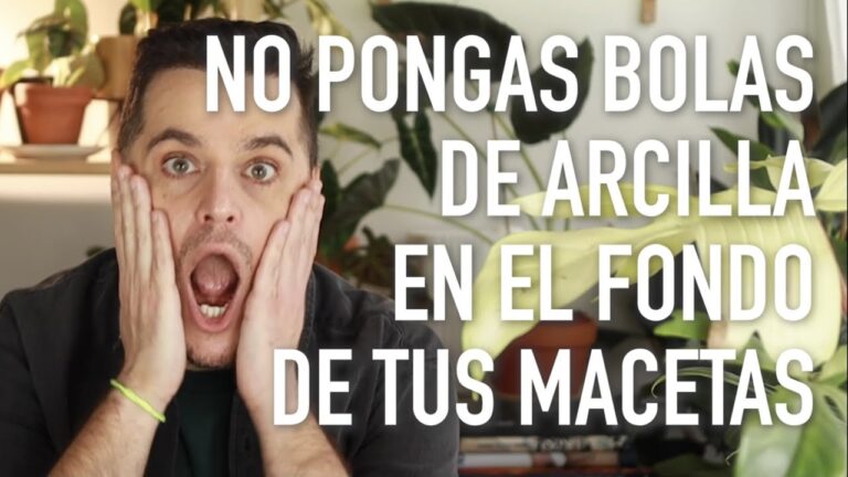 Todo sobre la arlita Leroy Merlin: usos y beneficios