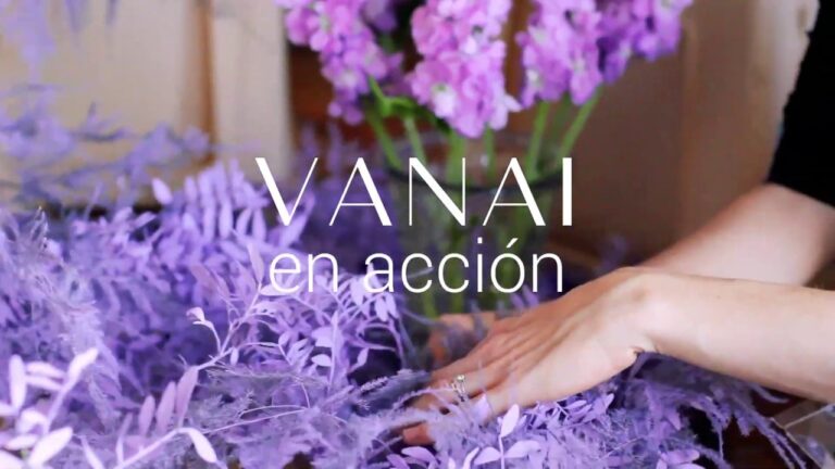 Envío de Flores a Domicilio en Ibiza