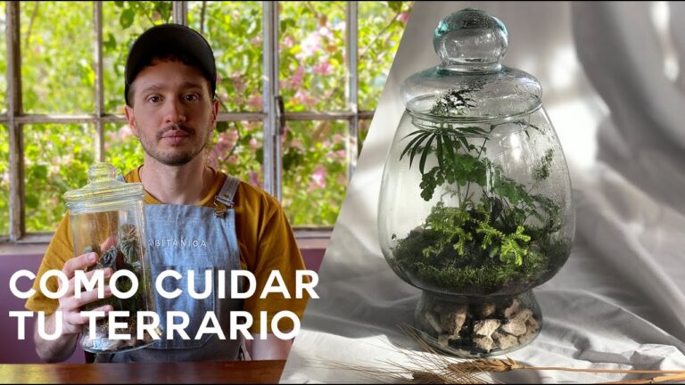 Cuidados naturales: La clave para una vida saludable