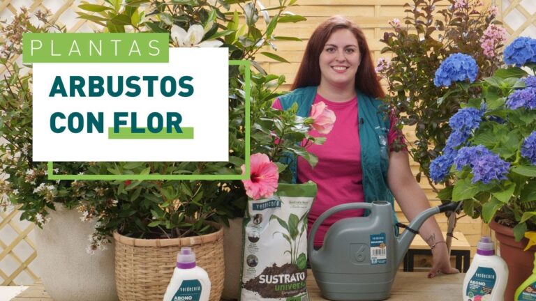 Los mejores arbustos para jardines exteriores