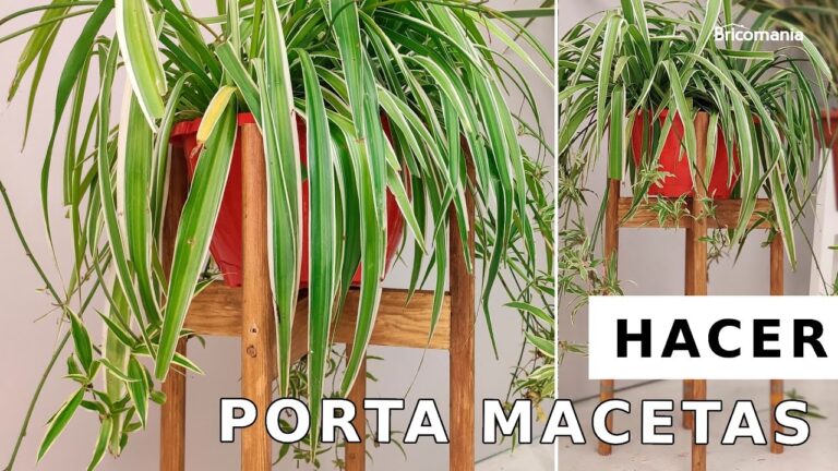 Guía de base para plantas de exterior
