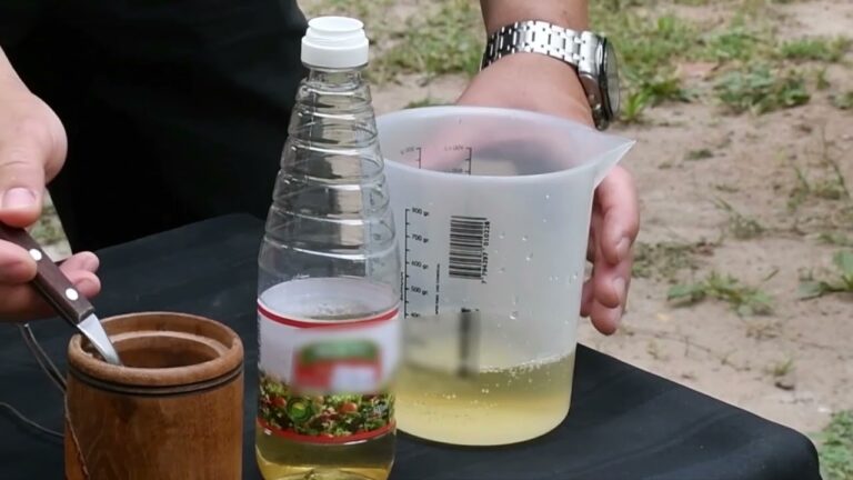 Trampa casera efectiva contra mosquitas