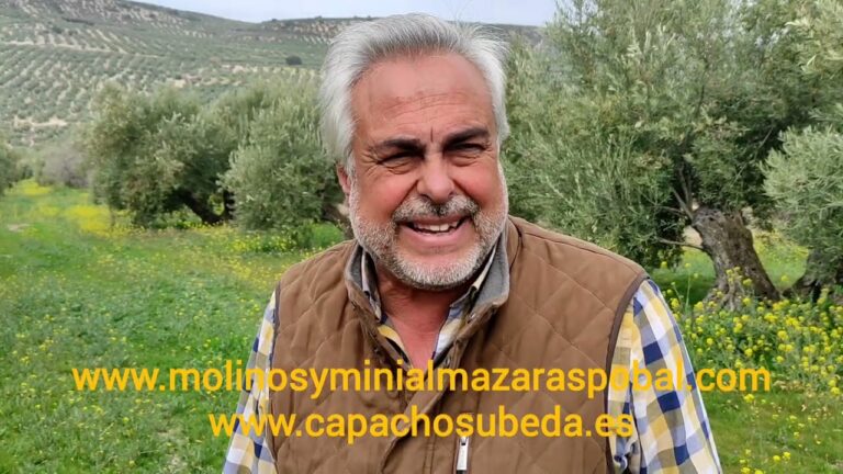 El mejor abono para el olivo: Guía completa