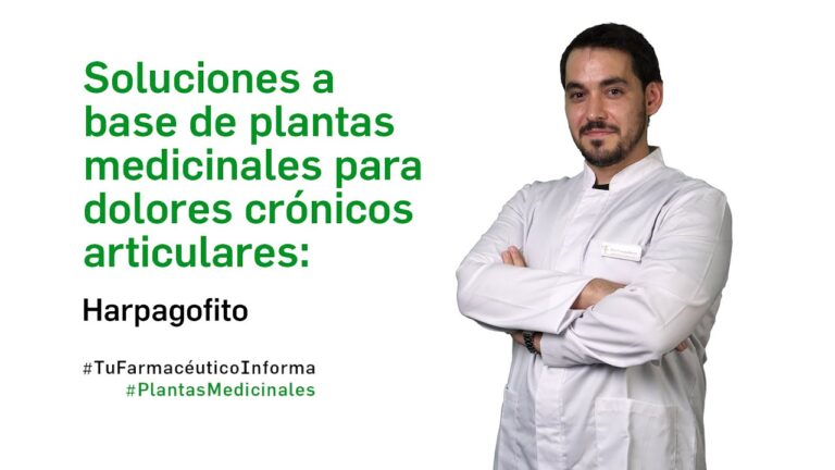 Plantas Antiinflamatorias Musculares: Una Guía Completa