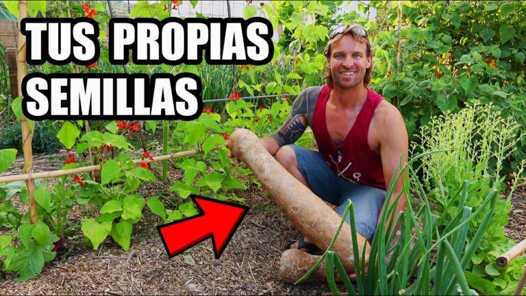 Gu&iacute;a Completa para Cultivar Semillas en un Huerto Ecol&oacute;gico
