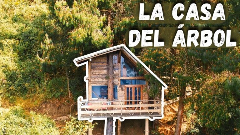 Explorando las casas árbol en Cuenca