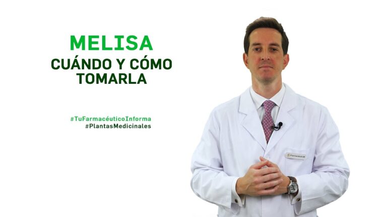 Beneficios de la infusión de melisa