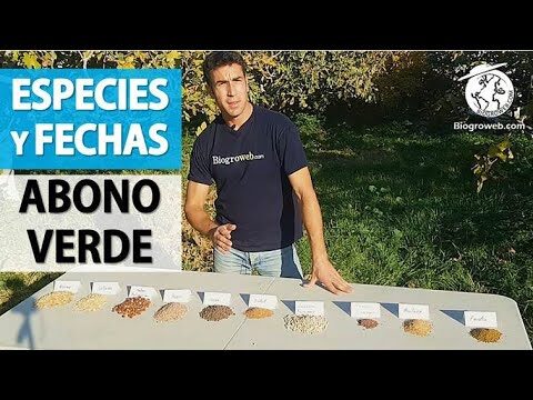Mejorando el Suelo: Abono Verde Mezcla Oto&ntilde;o