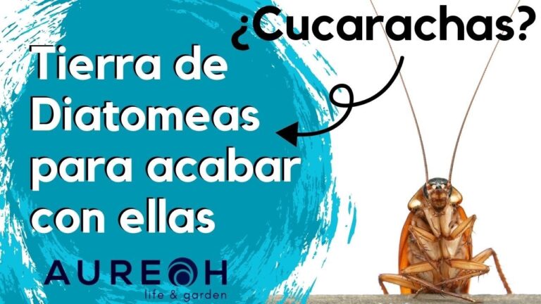 Tierra de diatomeas: tu aliado natural contra las cucarachas