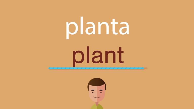 ¿Cómo se dice ‘planta’ en inglés?