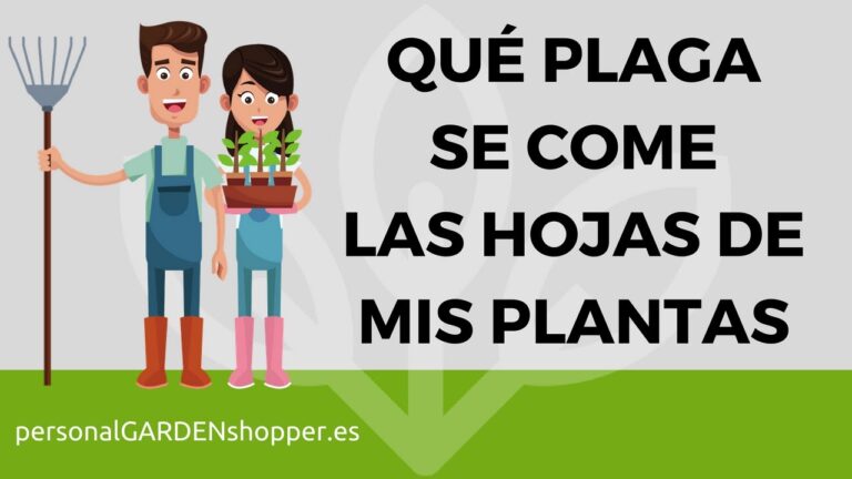 7 formas de proteger tus plantas de ser devoradas