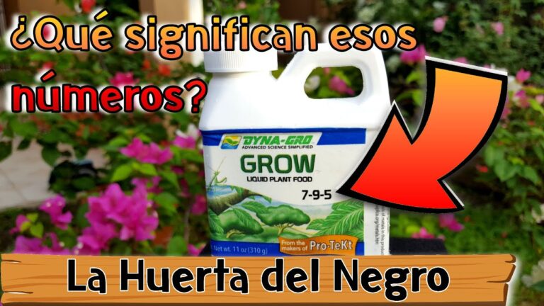 El significado de los fertilizantes: todo lo que necesitas saber