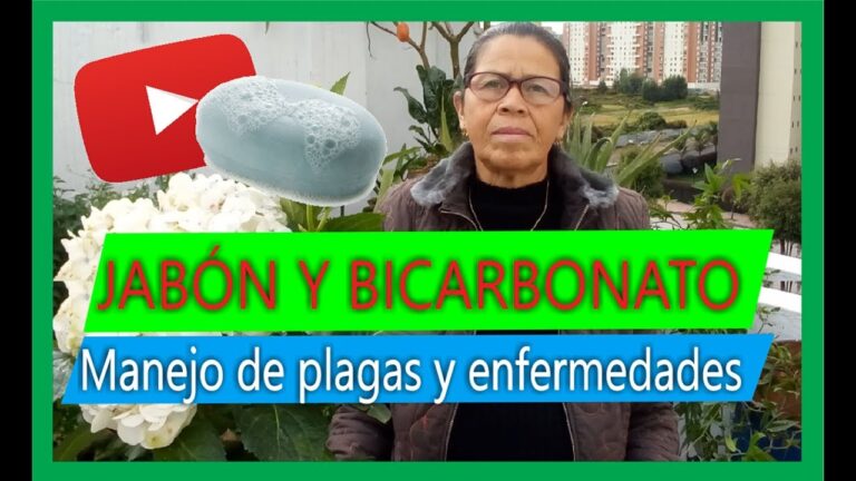 Alternativas naturales: fungicida con bicarbonato y jabón
