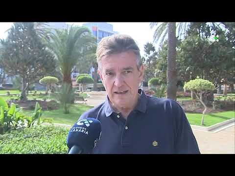 Guía de cuidado para la palmera canaria pequeña