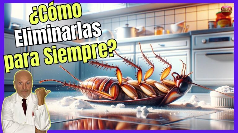 Remedios caseros contra cucarachas