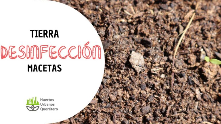 Productos para desinfectar el suelo del huerto