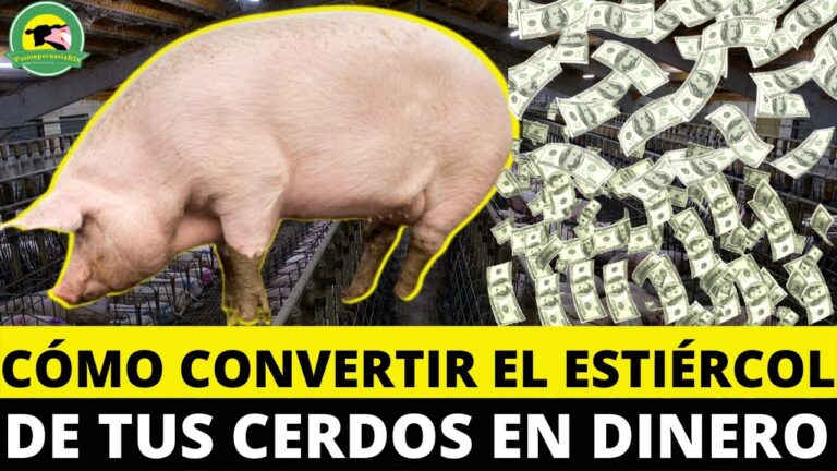 El Impacto del Precio del Estiércol en la Agricultura Sostenible