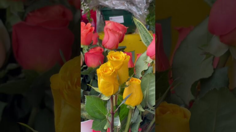 Floristería económica en Bilbao
