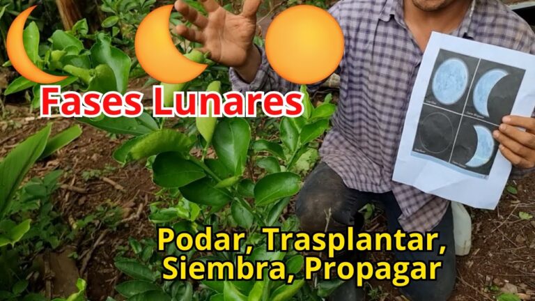 Beneficios de Podar en Luna Creciente