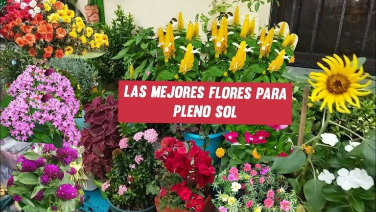 Jardines para Climas C&aacute;lidos: Dise&ntilde;o y Mantenimiento