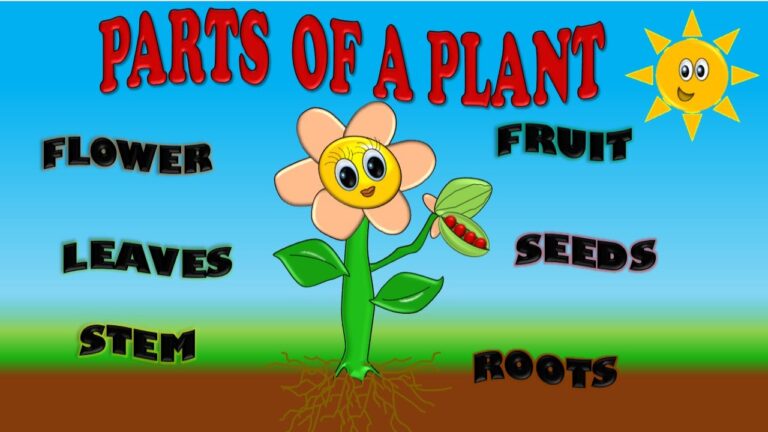Partes de las plantas en inglés: Guía completa
