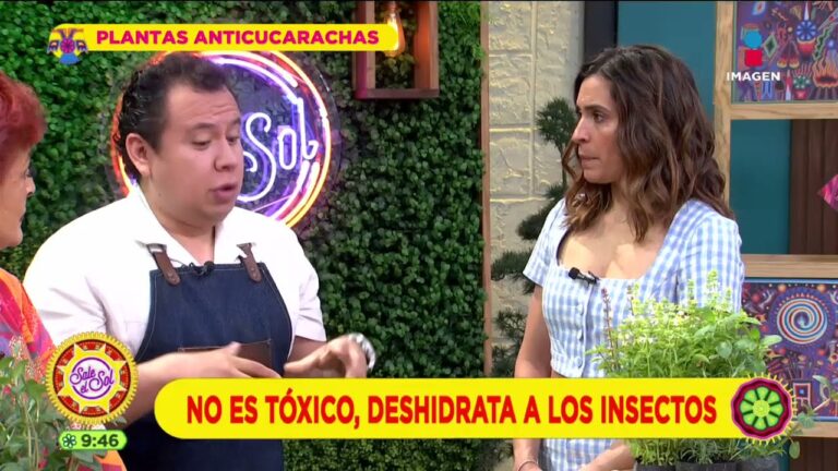 Plantas Anticucarachas: Una Solución Natural y Efectiva