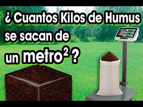 Beneficios del humus de lombriz en agricultura: 1000 kg de fertilizante orgánico de calidad