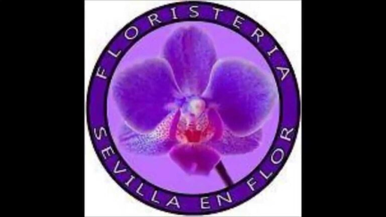 Floristería Los Remedios: Belleza floral en Sevilla