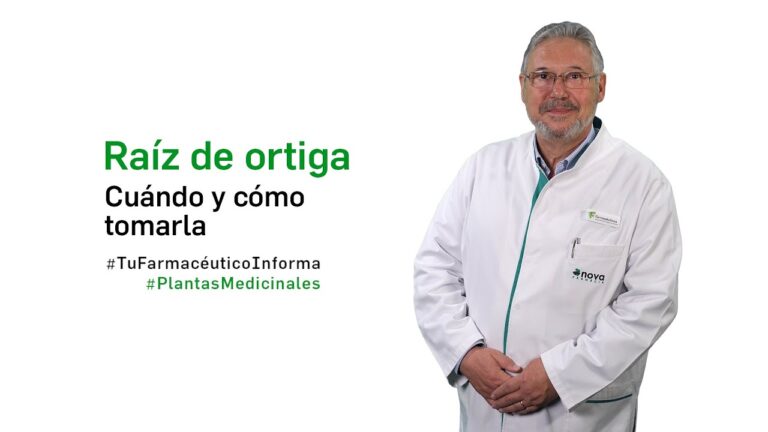 Los beneficios de la ortiga: &iquest;Para qu&eacute; sirve?